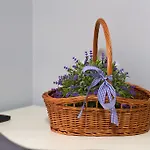 Apartamento Elite *