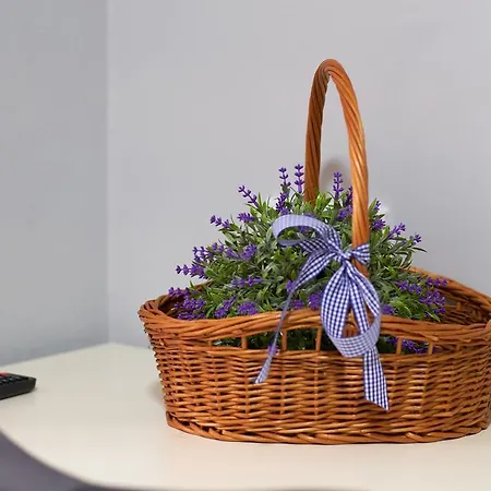 Apartament Elite *