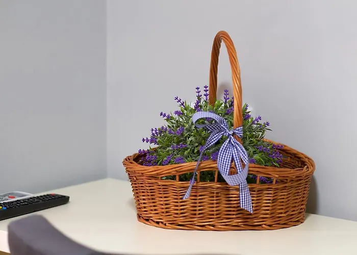 アパート Elite *